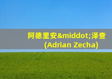 阿德里安·泽查(Adrian Zecha)